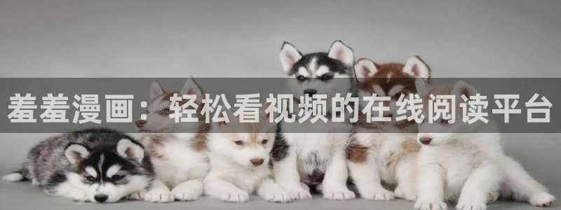 omofun动漫网上看