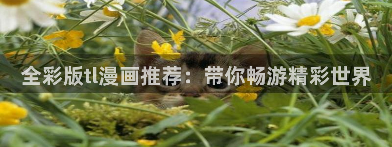 omofun动漫官网网址