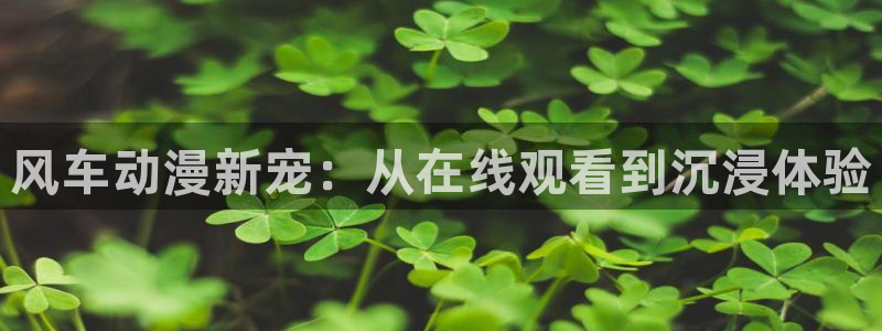 kakaopage韩漫官网