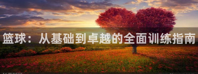 age专注动漫的门户网站