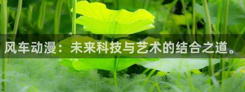omofun动漫下载网