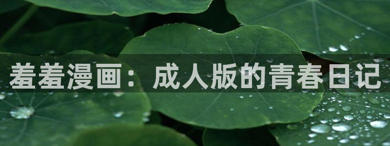 omofun动漫下载动漫全免费