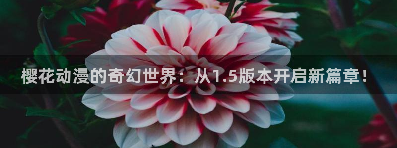 omofun动漫官网版入口