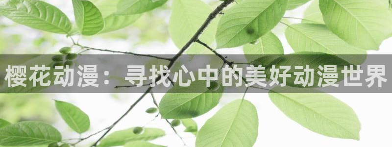 omofun动漫下载动漫全免费：樱花动漫：寻找心中的美好动漫世界