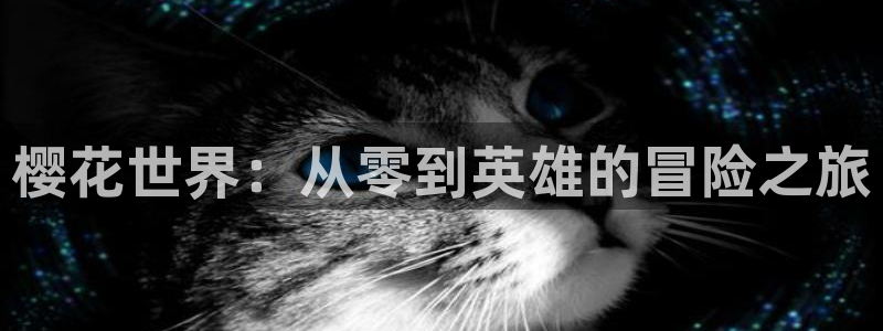 omofun动漫官网樱花动漫：樱花世界：从零到英雄的冒险之旅