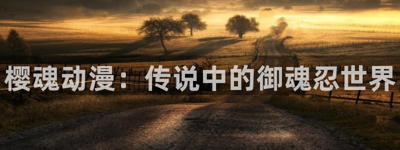omofun动漫官网网址