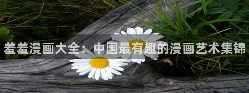 omofun动漫官网版入口